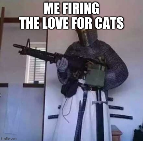 Crusader knight with M60 Machine Gun | ME FIRING THE LOVE FOR CATS | image tagged in crusader knight with m60 machine gun | made w/ Imgflip meme maker