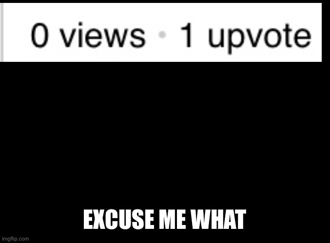 blank black | EXCUSE ME WHAT | image tagged in blank black | made w/ Imgflip meme maker
