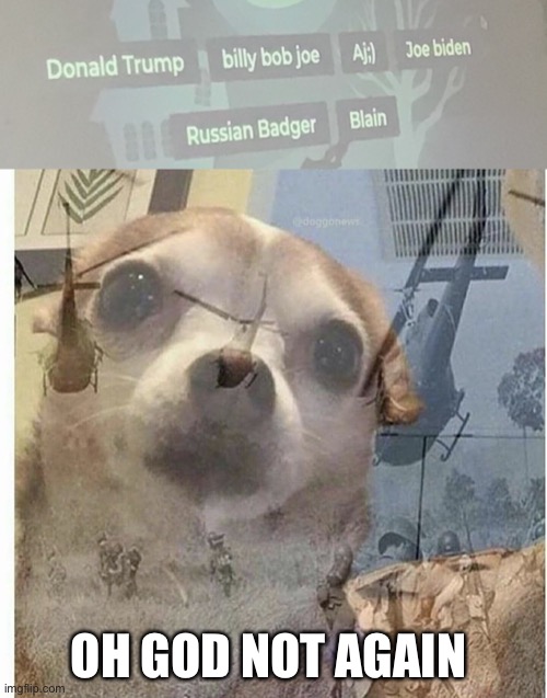OH GOD NOT AGAIN | image tagged in ptsd chihuahua | made w/ Imgflip meme maker