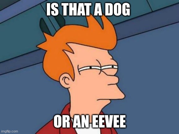 me playing pokemon go in AR mode | IS THAT A DOG; OR AN EEVEE | image tagged in memes,futurama fry | made w/ Imgflip meme maker