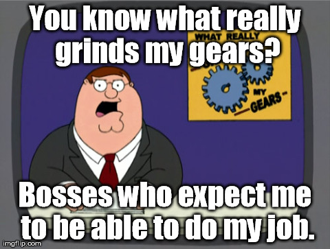 I have a co-worker like this. | You know what really grinds my gears? Bosses who expect me to be able to do my job. | image tagged in memes,peter griffin news | made w/ Imgflip meme maker