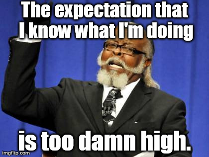 Great expectations isn't just a book! | The expectation that I know what I'm doing is too damn high. | image tagged in memes,too damn high | made w/ Imgflip meme maker