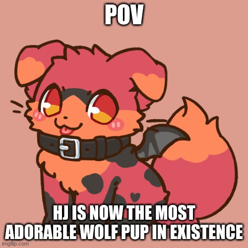 Jenny: *Dies from cuteness* | POV; HJ IS NOW THE MOST ADORABLE WOLF PUP IN EXISTENCE | image tagged in roleplay,cute wolf boi,he's so cute aaaaaaaaaaaaaaaaaa | made w/ Imgflip meme maker