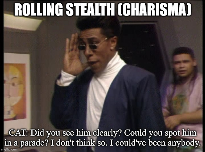 ROLLING STEALTH (CHARISMA); CAT: Did you see him clearly? Could you spot him in a parade? I don't think so. I could've been anybody. | image tagged in dndmemes | made w/ Imgflip meme maker