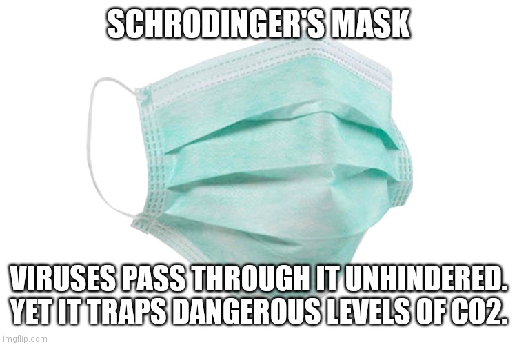 Face mask | SCHRODINGER'S MASK; VIRUSES PASS THROUGH IT UNHINDERED.
YET IT TRAPS DANGEROUS LEVELS OF CO2. | image tagged in face mask | made w/ Imgflip meme maker