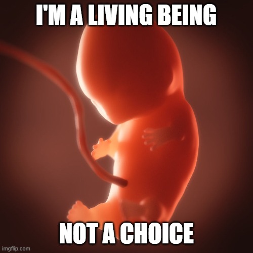 I'M A LIVING BEING NOT A CHOICE | made w/ Imgflip meme maker