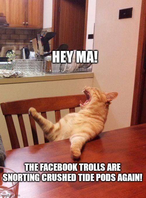 MA FB BROKEN | HEY MA! THE FACEBOOK TROLLS ARE SNORTING CRUSHED TIDE PODS AGAIN! | image tagged in ma fb broken | made w/ Imgflip meme maker