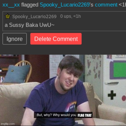 FLAG THAT | image tagged in but why why would you do that | made w/ Imgflip meme maker
