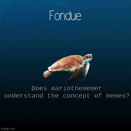 turtle template-Fondue | Does mariothememer understand the concept of memes? | image tagged in turtle template-fondue | made w/ Imgflip meme maker