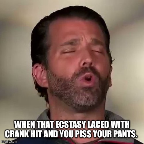 Donald Trump Jr., Don Jr., Cocaine | WHEN THAT ECSTASY LACED WITH CRANK HIT AND YOU PISS YOUR PANTS. | image tagged in donald trump jr don jr cocaine | made w/ Imgflip meme maker