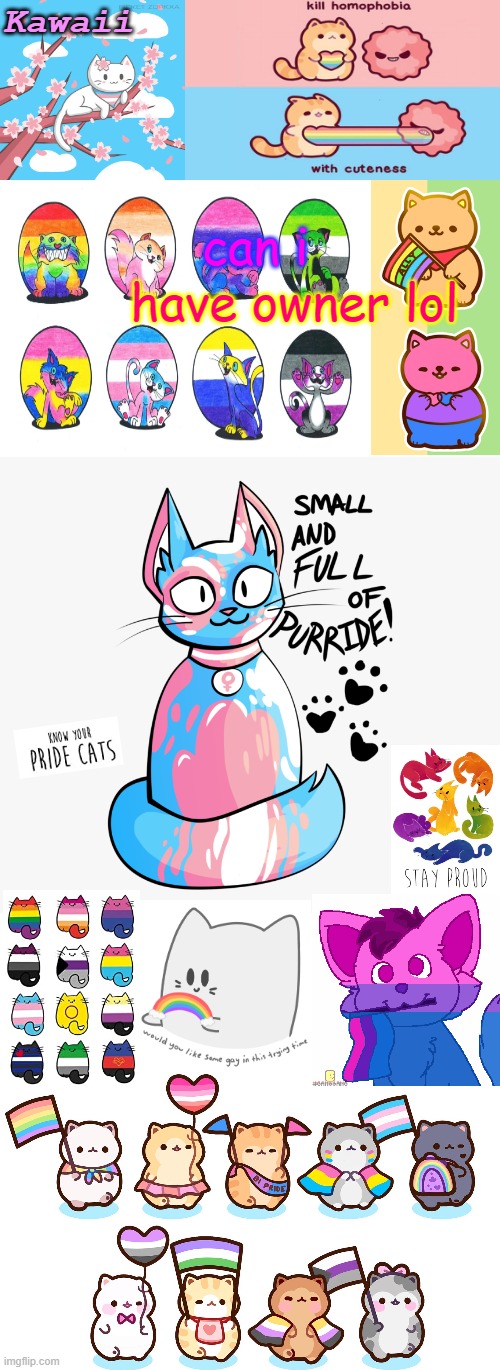 h. there isnt a rule that says that theres no mod/owner-asking, so im gonna ask fur owner | have owner lol; can i | image tagged in more pride catz except you guys finally got the short one | made w/ Imgflip meme maker