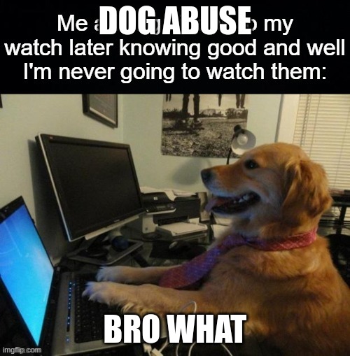 doggo got forces ti type |  DOG ABUSE; BRO WHAT | image tagged in dog,funny,meme,memes,doggo,computer | made w/ Imgflip meme maker