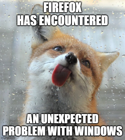 *face palm* | FIREFOX HAS ENCOUNTERED; AN UNEXPECTED PROBLEM WITH WINDOWS | image tagged in fox licking glass,funny,memes | made w/ Imgflip meme maker
