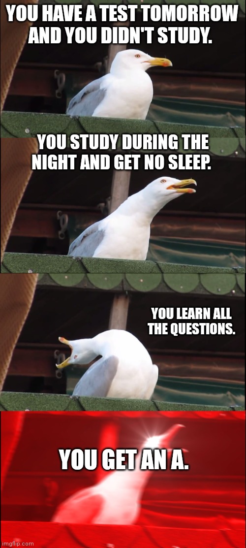 Inhaling Seagull | YOU HAVE A TEST TOMORROW AND YOU DIDN'T STUDY. YOU STUDY DURING THE NIGHT AND GET NO SLEEP. YOU LEARN ALL THE QUESTIONS. YOU GET AN A. | image tagged in memes,inhaling seagull,inhales,school meme | made w/ Imgflip meme maker