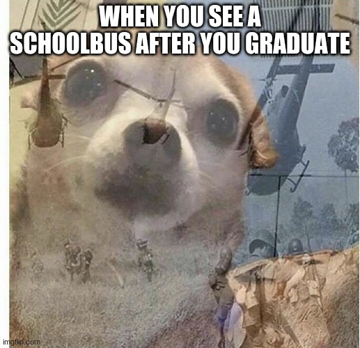 0-0 | WHEN YOU SEE A SCHOOLBUS AFTER YOU GRADUATE | image tagged in ptsd chihuahua | made w/ Imgflip meme maker