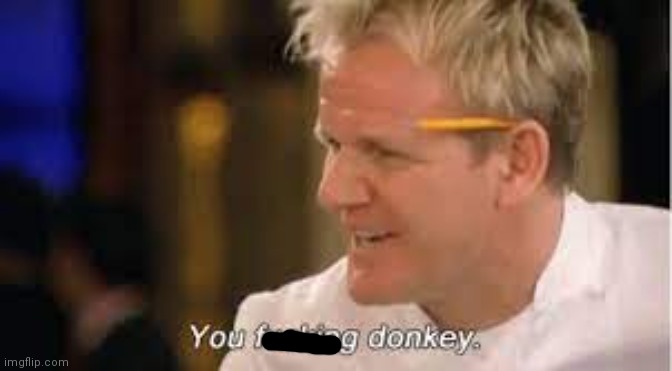 you f****** donkey - gordon ramsay | image tagged in you f donkey - gordon ramsay | made w/ Imgflip meme maker
