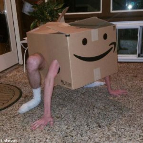 Amazon Box Guy | image tagged in amazon box guy | made w/ Imgflip meme maker