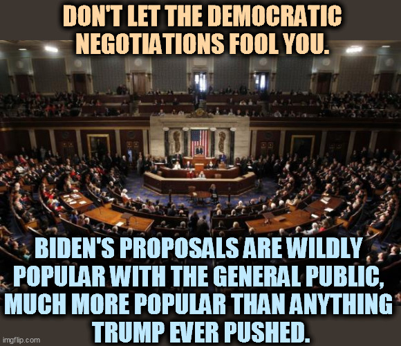 Considering Republican obstructionism, whatever comes out of the negotiations will be a victory. | DON'T LET THE DEMOCRATIC NEGOTIATIONS FOOL YOU. BIDEN'S PROPOSALS ARE WILDLY 
POPULAR WITH THE GENERAL PUBLIC, 
MUCH MORE POPULAR THAN ANYTHING 
TRUMP EVER PUSHED. | image tagged in congress,democrats,popular,policy,republican,block | made w/ Imgflip meme maker
