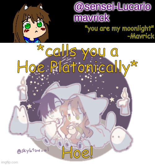 Wussup Hoe <3 | *calls you a Hoe Platonically*; Hoe! | image tagged in mavricks moonlight temp | made w/ Imgflip meme maker