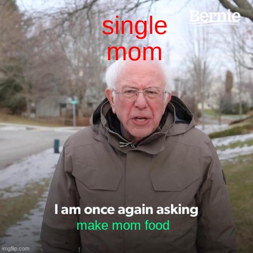 Bernie I Am Once Again Asking For Your Support Meme | single mom; make mom food | image tagged in memes,bernie i am once again asking for your support | made w/ Imgflip meme maker