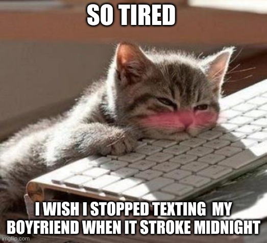 tired cat | SO TIRED; I WISH I STOPPED TEXTING  MY BOYFRIEND WHEN IT STROKE MIDNIGHT | image tagged in tired cat | made w/ Imgflip meme maker