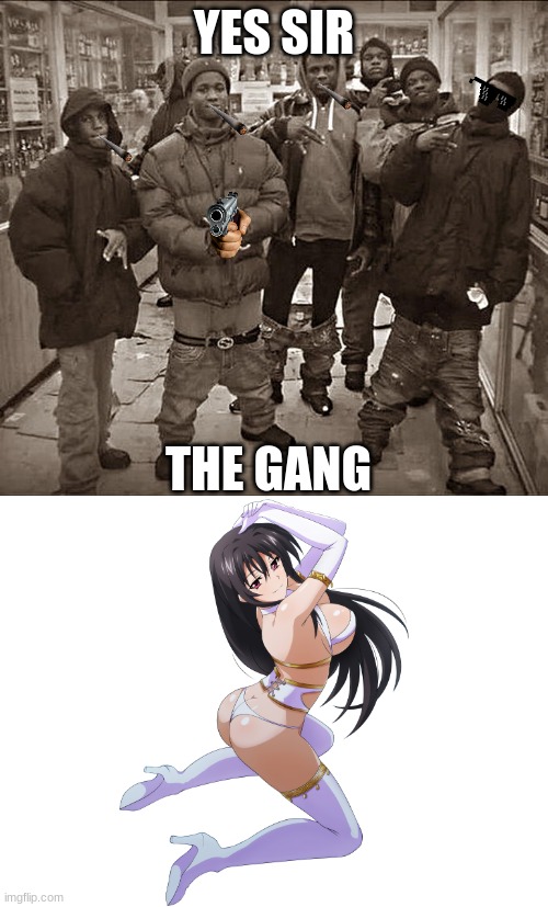 YES SIR; THE GANG | image tagged in all my homies hate,blank white template | made w/ Imgflip meme maker