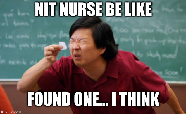 Tiny piece of paper | NIT NURSE BE LIKE FOUND ONE... I THINK | image tagged in tiny piece of paper | made w/ Imgflip meme maker