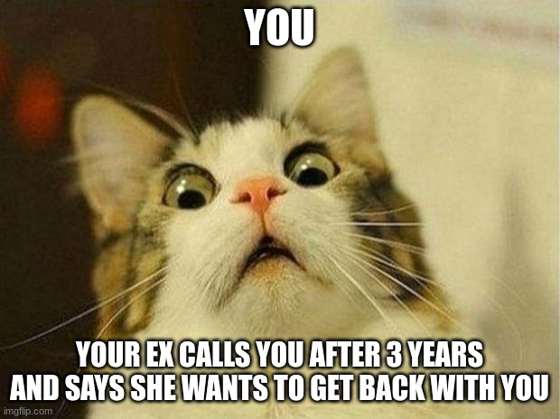 Scared Cat | YOU; YOUR EX CALLS YOU AFTER 3 YEARS AND SAYS SHE WANTS TO GET BACK WITH YOU | image tagged in memes,scared cat | made w/ Imgflip meme maker