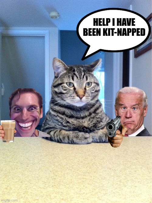Take A Seat Cat |  HELP I HAVE BEEN KIT-NAPPED | image tagged in memes,take a seat cat | made w/ Imgflip meme maker