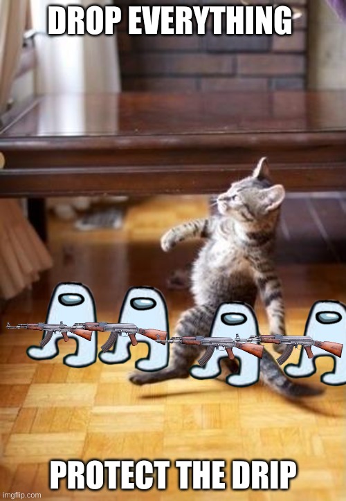 Cool Cat Stroll | DROP EVERYTHING; PROTECT THE DRIP | image tagged in memes,cool cat stroll | made w/ Imgflip meme maker