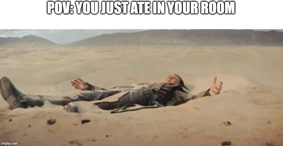 loki in sand | POV: YOU JUST ATE IN YOUR ROOM | image tagged in loki in sand,funny food | made w/ Imgflip meme maker