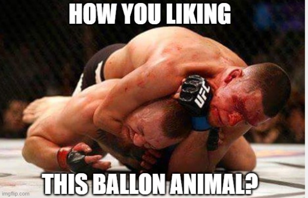 image tagged in ufc | made w/ Imgflip meme maker