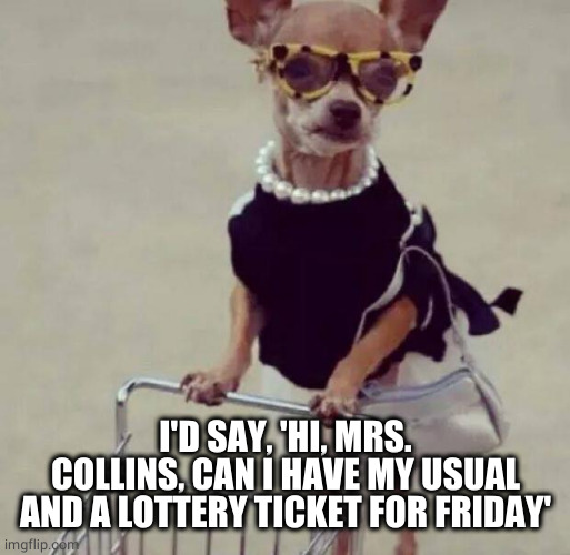 shopping | I'D SAY, 'HI, MRS. COLLINS, CAN I HAVE MY USUAL AND A LOTTERY TICKET FOR FRIDAY' | image tagged in shopping | made w/ Imgflip meme maker