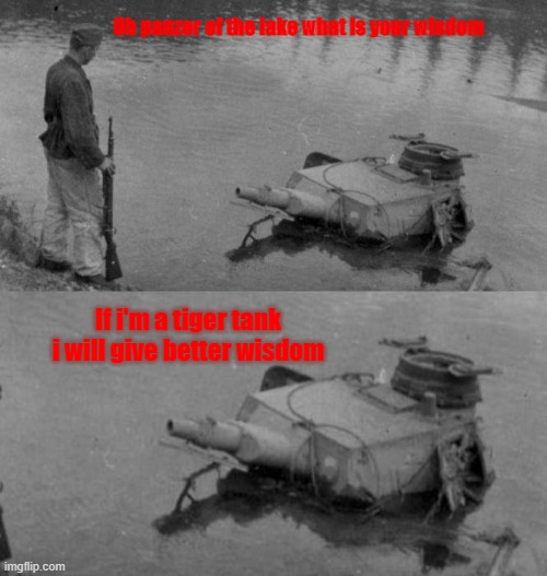 Oh Panzer of the lake | Oh panzer of the lake what is your wisdom; If i'm a tiger tank i will give better wisdom | image tagged in oh panzer of the lake | made w/ Imgflip meme maker