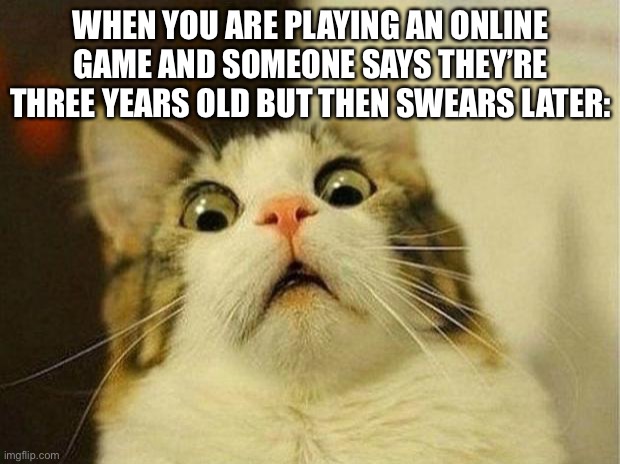 lol | WHEN YOU ARE PLAYING AN ONLINE GAME AND SOMEONE SAYS THEY’RE THREE YEARS OLD BUT THEN SWEARS LATER: | image tagged in memes,scared cat | made w/ Imgflip meme maker