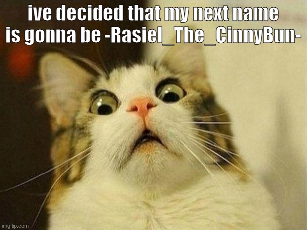/j , i kinda dont wanna change it | ive decided that my next name is gonna be -Rasiel_The_CinnyBun- | image tagged in memes,scared cat | made w/ Imgflip meme maker