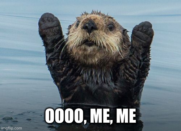 Hands up otter | OOOO, ME, ME | image tagged in hands up otter | made w/ Imgflip meme maker