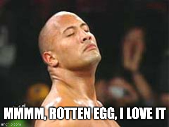 The Rock Smelling | MMMM, ROTTEN EGG, I LOVE IT | image tagged in the rock smelling | made w/ Imgflip meme maker