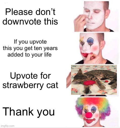 Clown Applying Makeup Meme | Please don’t downvote this; If you upvote this you get ten years added to your life; Upvote for strawberry cat; Thank you | image tagged in memes,clown applying makeup | made w/ Imgflip meme maker