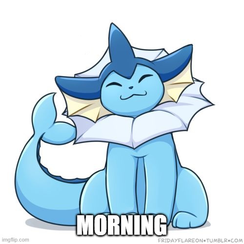 MORNING | image tagged in vaporeon | made w/ Imgflip meme maker