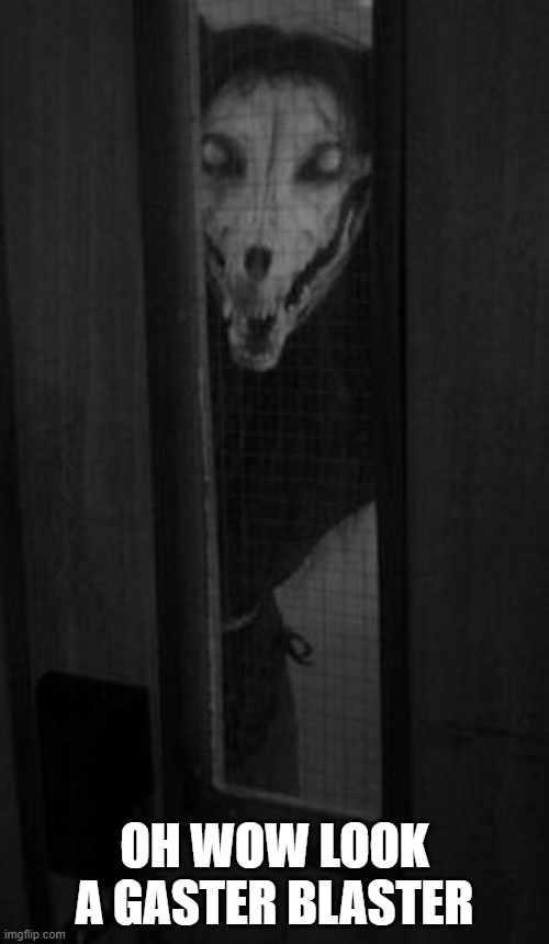 Undertale is now real | OH WOW LOOK A GASTER BLASTER | image tagged in horror gore | made w/ Imgflip meme maker