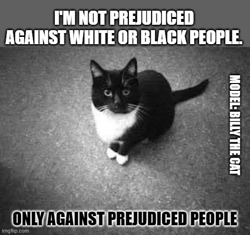 This #lolcat wonders if you are prejudiced | I'M NOT PREJUDICED AGAINST WHITE OR BLACK PEOPLE. MODEL: BILLY THE CAT; ONLY AGAINST PREJUDICED PEOPLE | image tagged in lolcat,prejudice,black and white,discrimination,racism | made w/ Imgflip meme maker