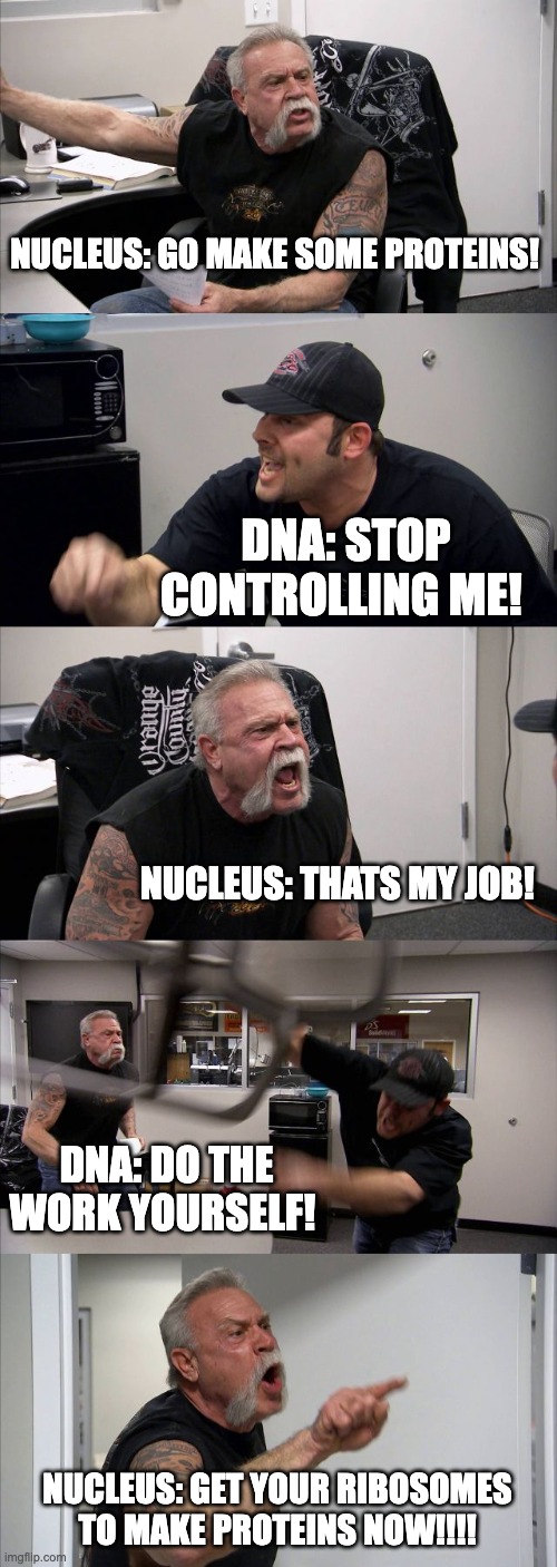 American Chopper Argument Meme | NUCLEUS: GO MAKE SOME PROTEINS! DNA: STOP CONTROLLING ME! NUCLEUS: THATS MY JOB! DNA: DO THE WORK YOURSELF! NUCLEUS: GET YOUR RIBOSOMES TO MAKE PROTEINS NOW!!!! | image tagged in memes,american chopper argument | made w/ Imgflip meme maker