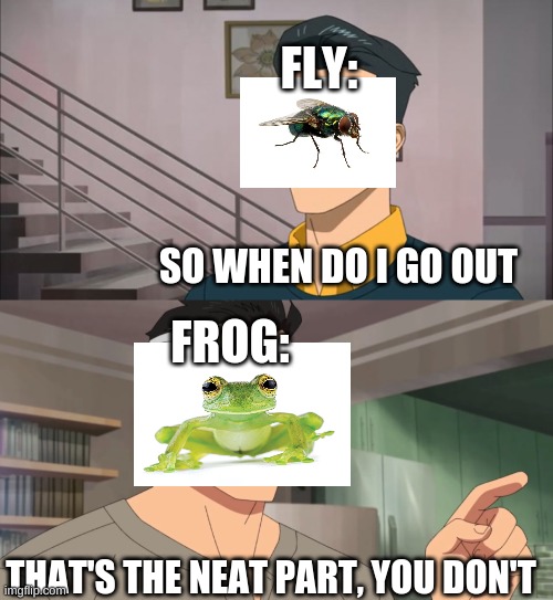 That's the neat part, you don't | FLY:; SO WHEN DO I GO OUT; FROG:; THAT'S THE NEAT PART, YOU DON'T | image tagged in that's the neat part you don't | made w/ Imgflip meme maker