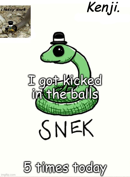 anyways how is everyone | I got kicked in the balls; 5 times today | image tagged in snek | made w/ Imgflip meme maker