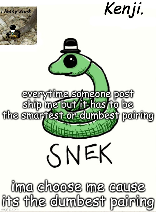 snek | everytime someone post ship me but it has to be the smartest or dumbest pairing; ima choose me cause its the dumbest pairing | image tagged in snek | made w/ Imgflip meme maker