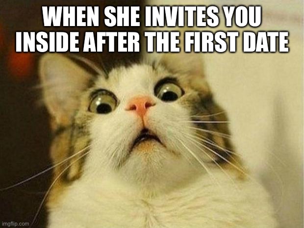 Scared Cat | WHEN SHE INVITES YOU INSIDE AFTER THE FIRST DATE | image tagged in memes,scared cat | made w/ Imgflip meme maker