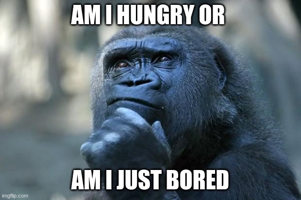 Think about it | AM I HUNGRY OR; AM I JUST BORED | image tagged in deep thoughts | made w/ Imgflip meme maker