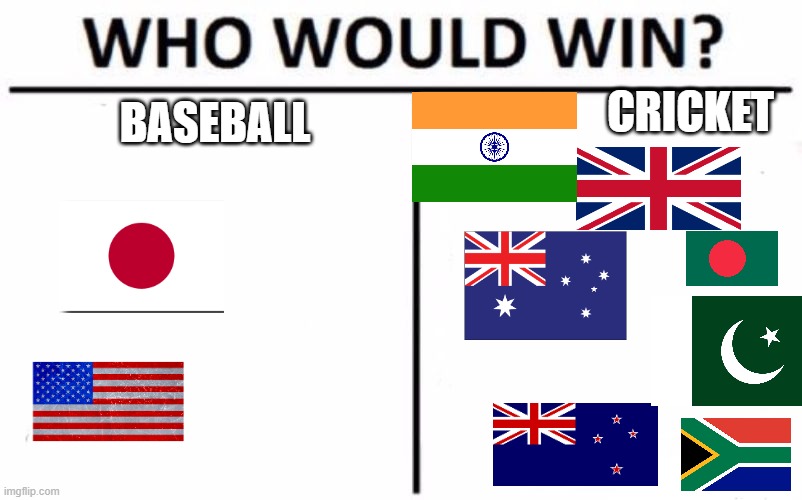 so americans | CRICKET; BASEBALL | image tagged in memes,who would win,cricket vs baseball | made w/ Imgflip meme maker