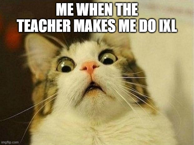 hi | ME WHEN THE TEACHER MAKES ME DO IXL | image tagged in memes,scared cat | made w/ Imgflip meme maker